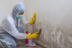 Best Mold Removal for HVAC Installations  in North Les, AK